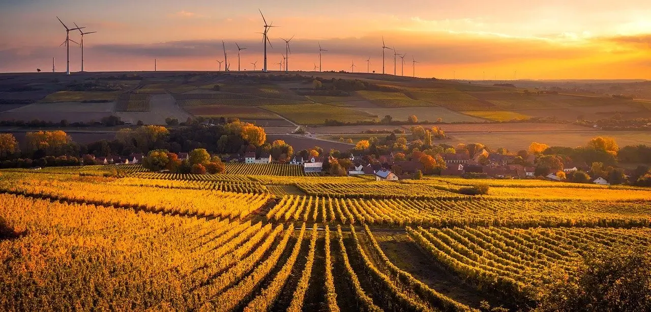 ESG 指标：是什么、为什么以及如何使用它们